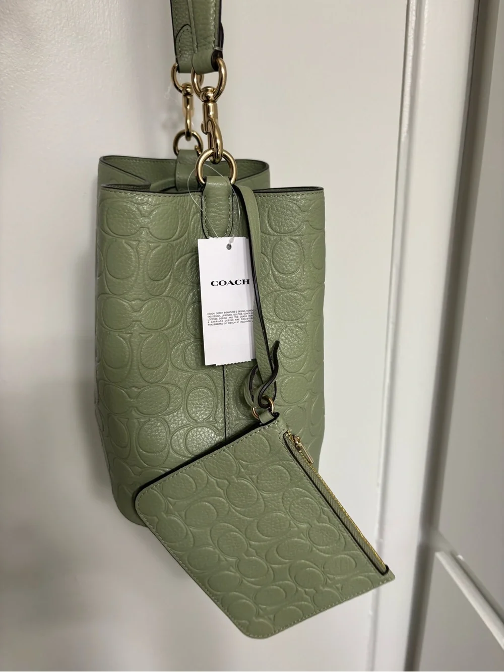 Coach  pistachio Sage Green Pebbled Leather Drawstring Bucket Bag